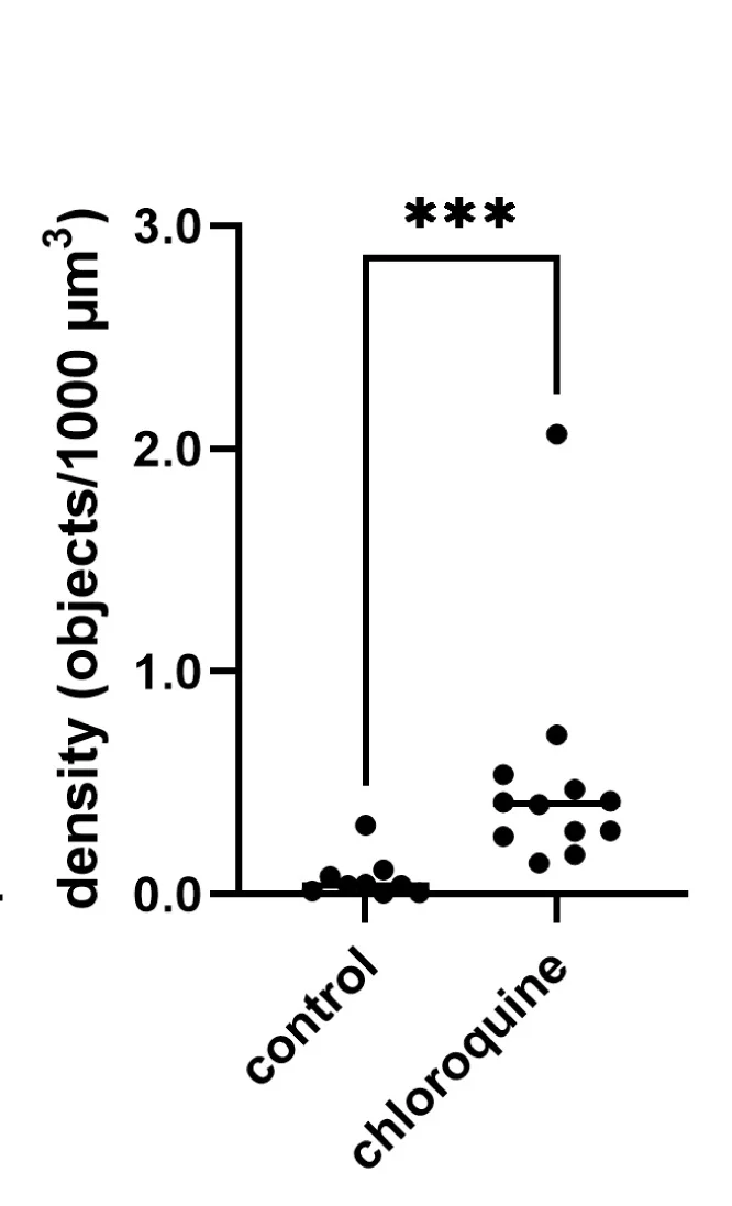 Open access visualization of Scatter Plot, CFSE, Intestine, Object Volume, Object Density