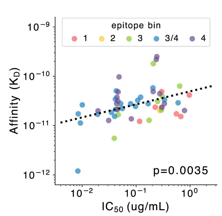 Open access visualization of Scatter Plot, Regression Plot, Binding Affinity, Neutralization, WA1 Strain