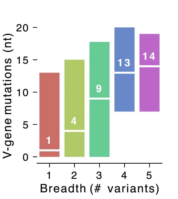 Open access visualization of Stacked Bar Plot, VH Nucleotide Mutations, SARS-CoV-2, Monoclonal Antibodies, Breadth