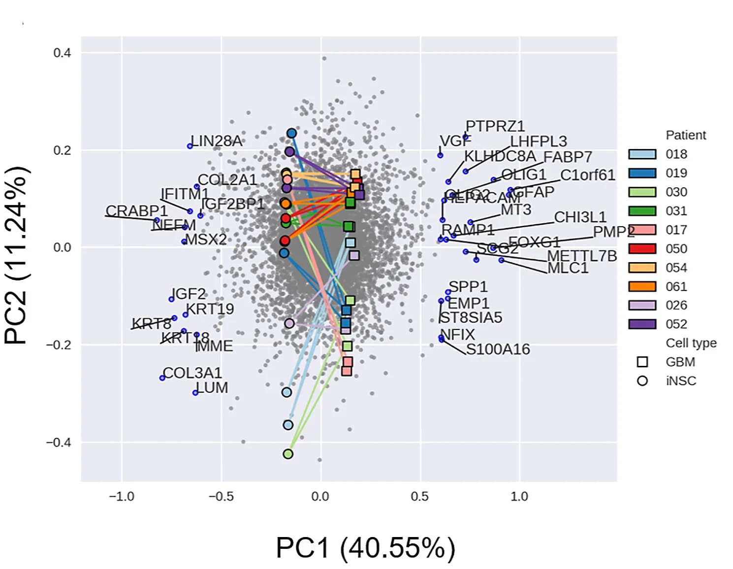 Open access visualization of Scatter Plot, Line Plot, PCA Biplot, Gene Expression, Glioblastoma