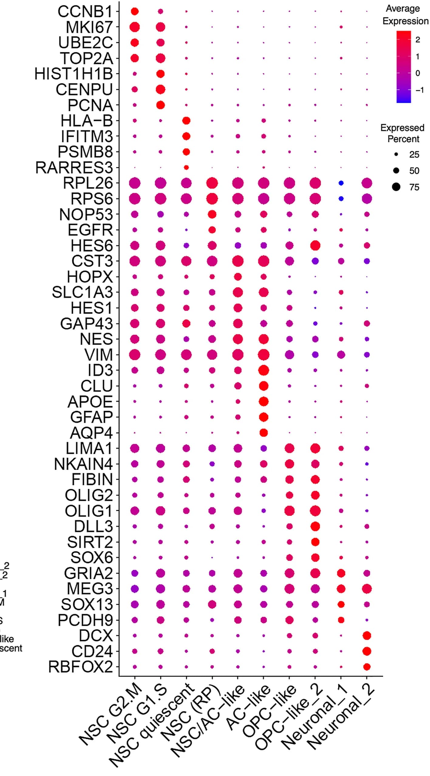 Open access visualization of Bubble Plot, Dot Plot, Gene Expression, Cell Clusters, Marker Genes