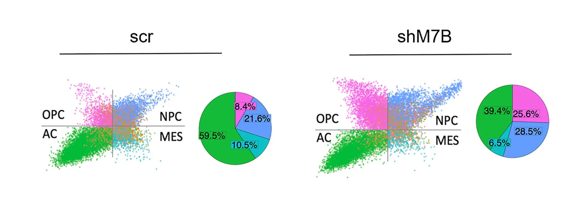 Open access visualization of Scatter Plot, Pie Chart, Violin Plot, Cell Type, Glioma