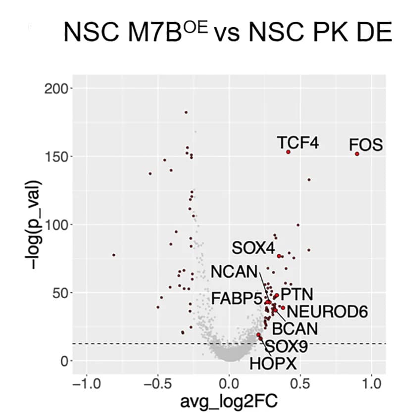 Open access visualization of Volcano Plot, Scatter Plot, DEGs, COM7BOE, NSC Cluster