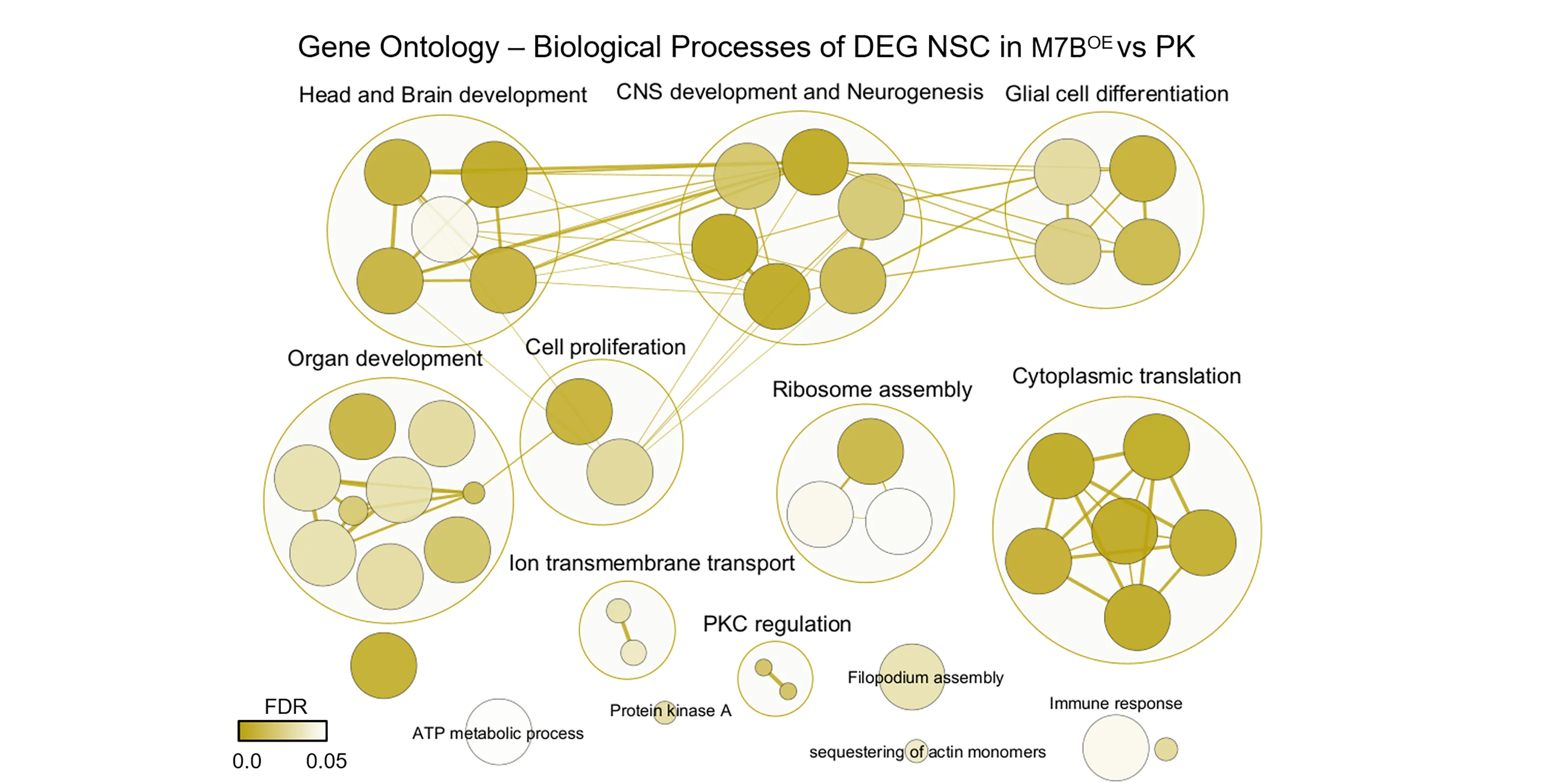 Open access visualization of Network, Pathway, GSEA, GOBPs, DEGs