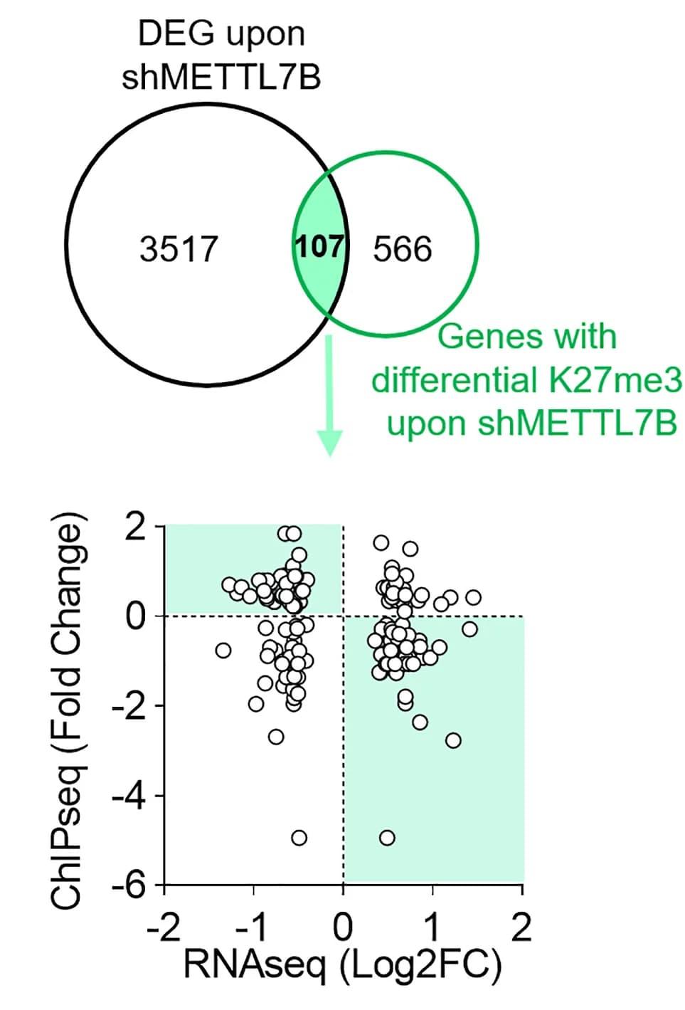 Open access visualization of Venn Diagram, Scatter Plot, DEGs, RNA-seq, H3K27me3