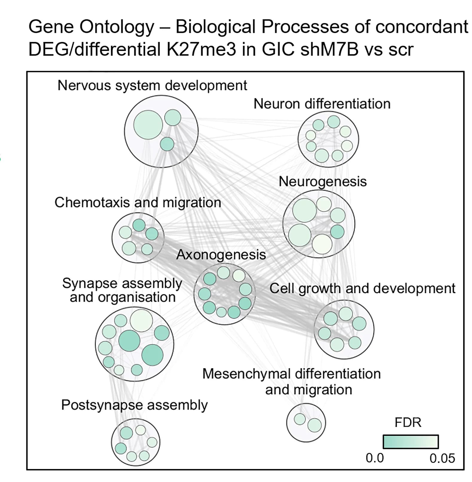 Open access visualization of Network, Bubble Plot, GO Biological Processes, GICs, METTL7B Silencing