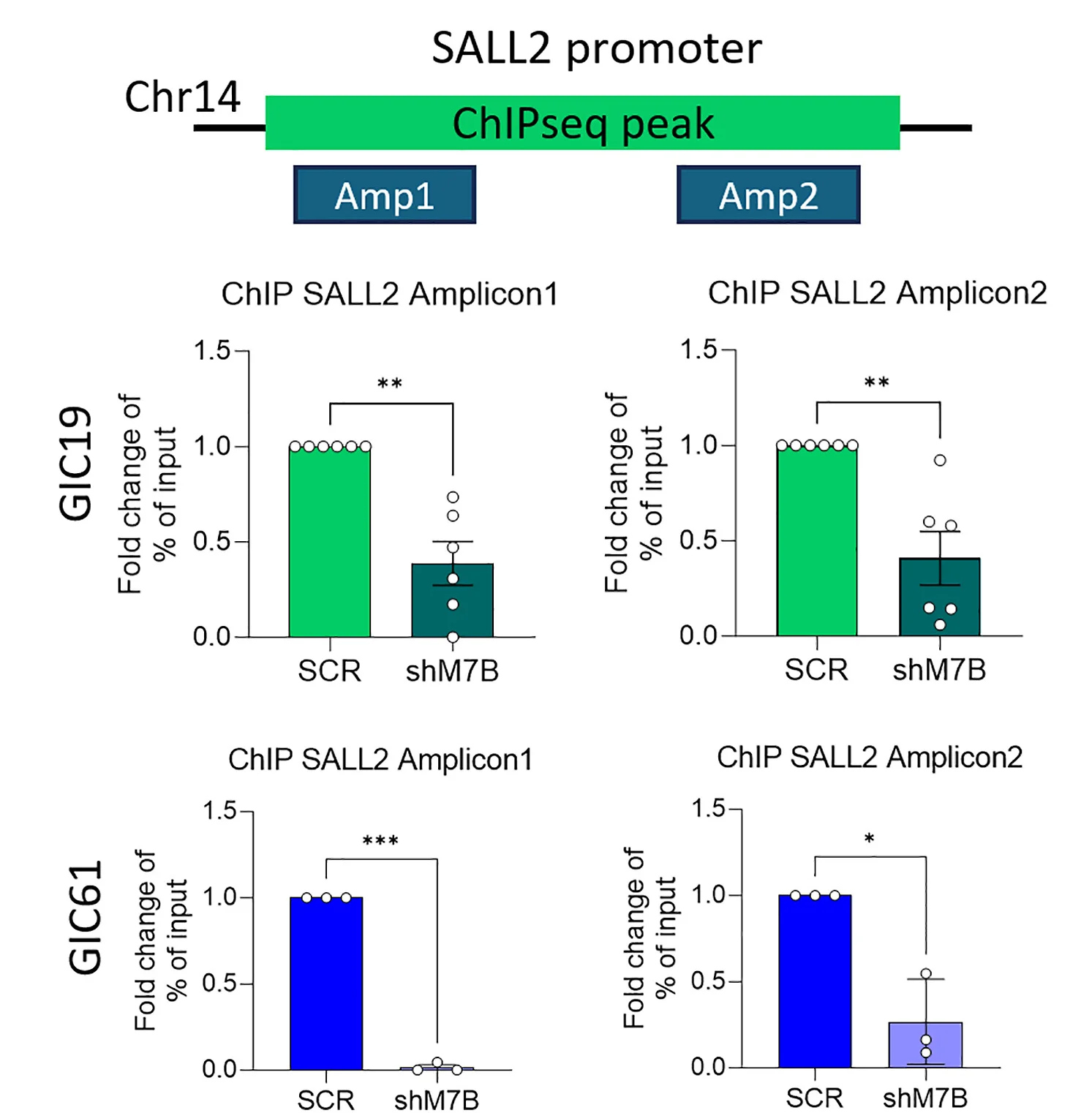 Open access visualization of Bar Plot, Error Bars, ChIP qPCR, SALL2 Promoter, H3K27me3