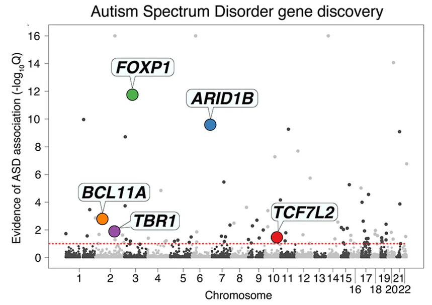 Open access visualization of Manhattan Plot, ASD, DNA-binding TRs, Exome Sequencing