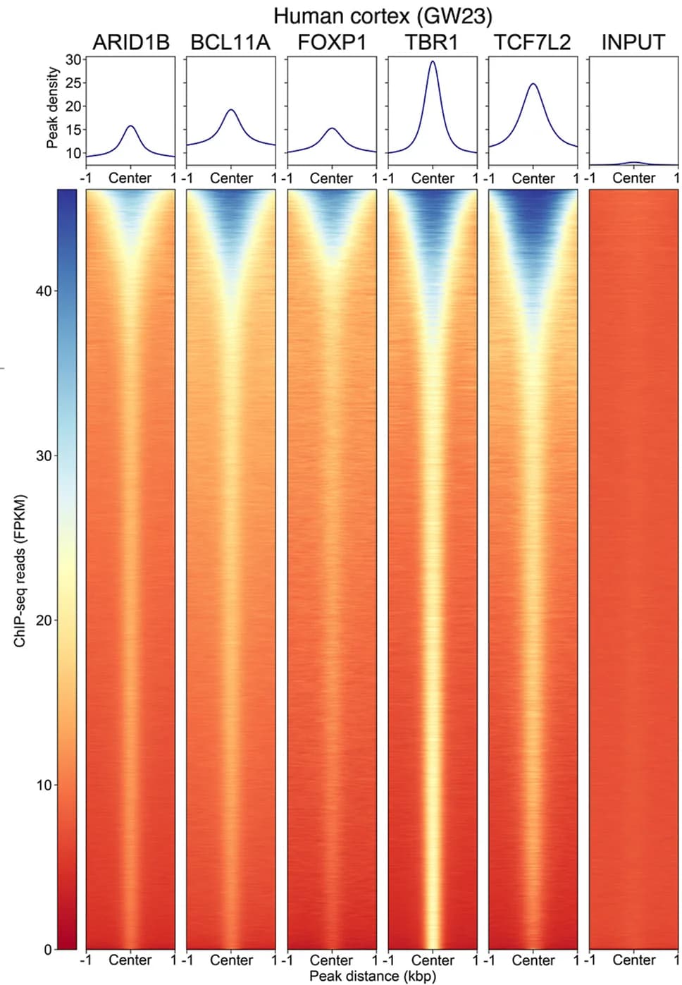 Open access visualization of Heatmap, Density Plot, Line Plot, Read Counts, ChIP-seq