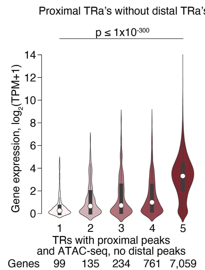 Open access visualization of Violin Plot, Median Gene Expression, Fetal Human Prefrontal Cortex, Protein-Coding Genes, ASD Associated TRs