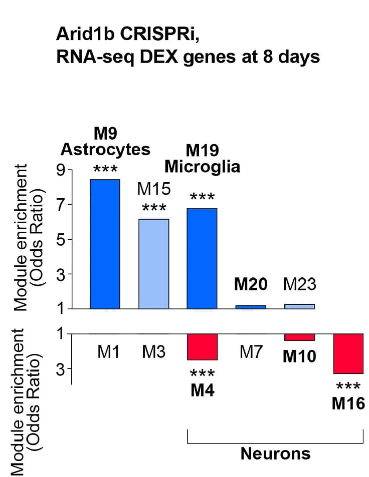 Open access visualization of Bar Plot, CRISPRi, Tbr1, Differentially Expressed Genes, Statistical Analysis