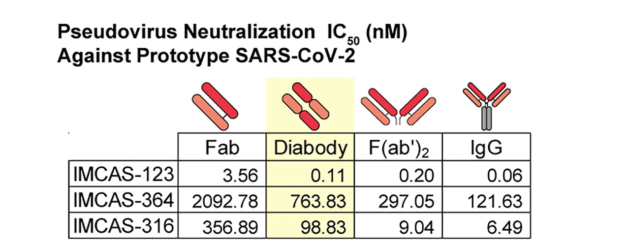 Open access visualization of Table Image, Illustration, Neutralizing Capabilities, IMCAS-123 Fab, Diabody
