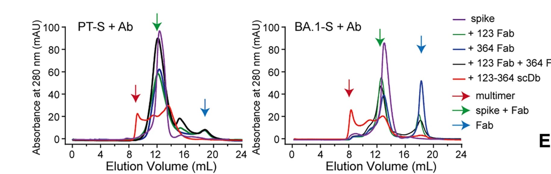 Open access visualization of Line Plot, In Vitro, Binding Assay, Bispecific Antibody, Spike Protein
