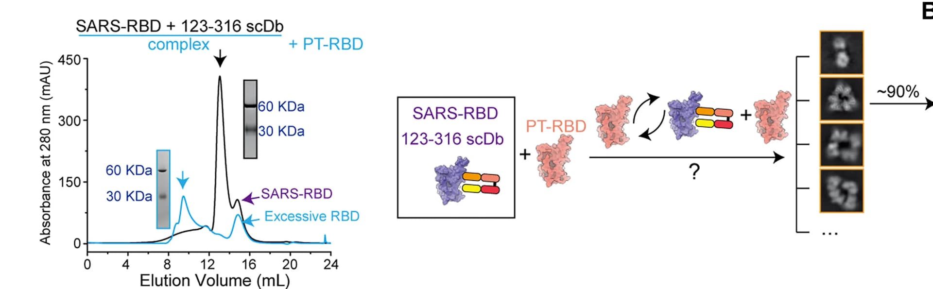 Open access visualization of Line Plot, Gel, Workflow, Microscopy, Binding Assay