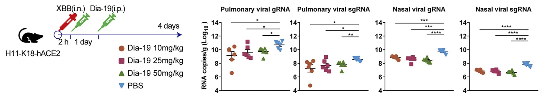 Open access visualization of Scatter Plot, Error Bars, Therapeutic Strategy, H11-K18-hACE2 Mice, Genomic RNA