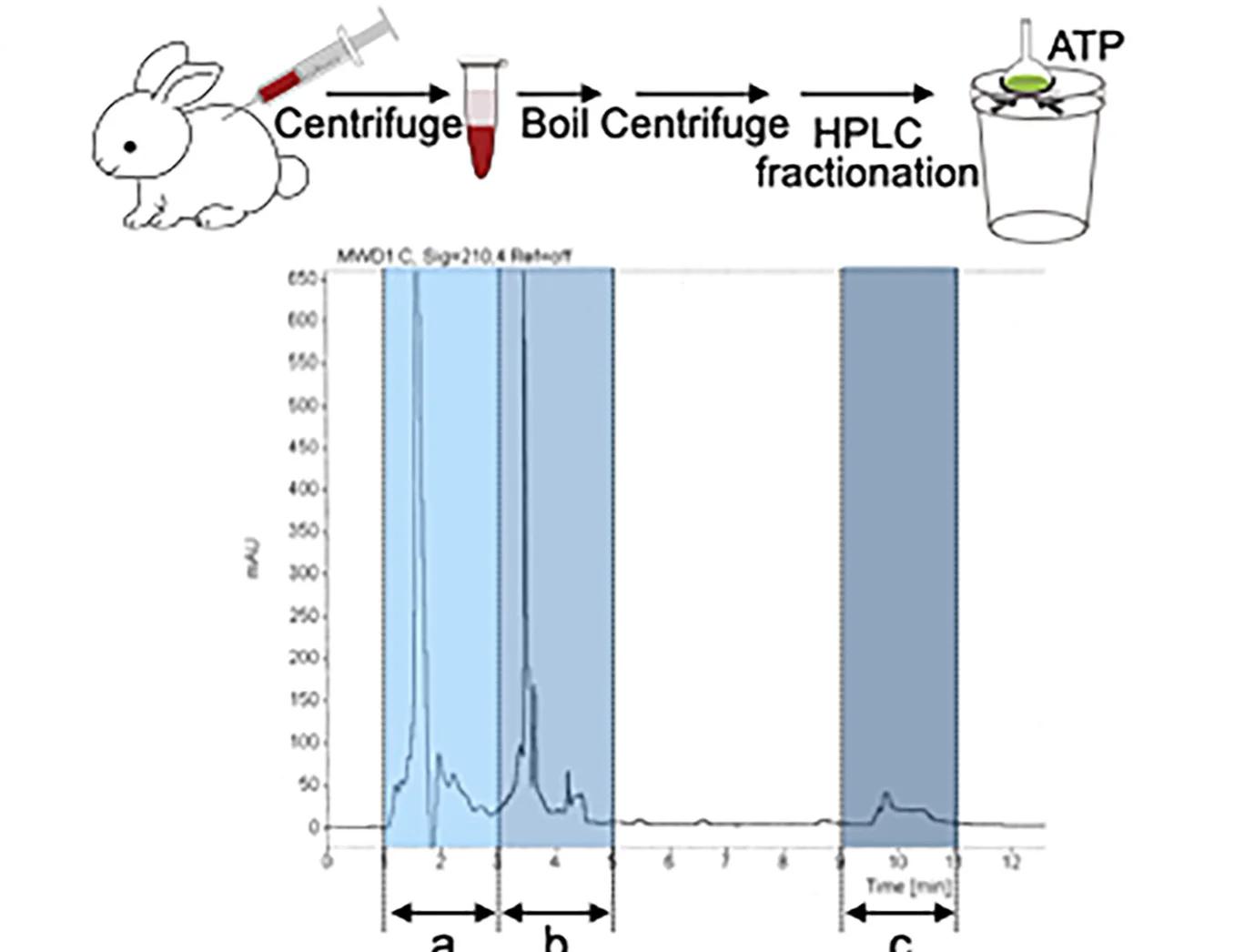 Open access visualization of Line Plot, HPLC, Rabbit Serum, Ae. aegypti, Mosquitoes