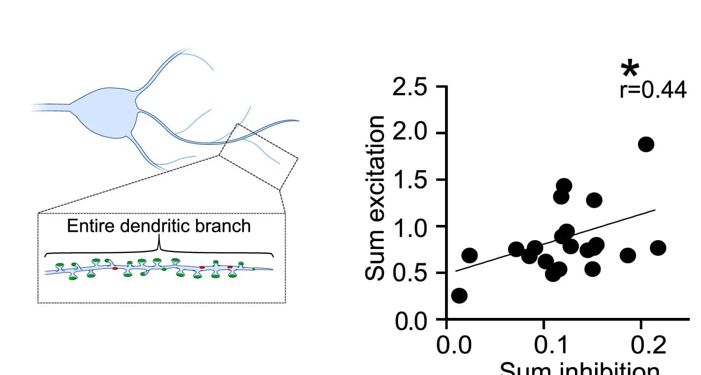 Open access visualization of Scatter Plot, Regression Plot, Illustration, Inhibition, Excitation