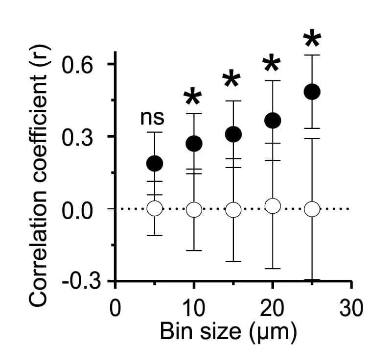 Open access visualization of Scatter Plot, Error Bars, Correlation Coefficients, Bin Size, Experimental Branches