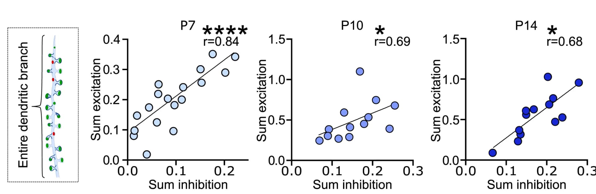 Open access visualization of Scatter Plot, Regression Plot, Illustration, Spatial Domain, Dendrite
