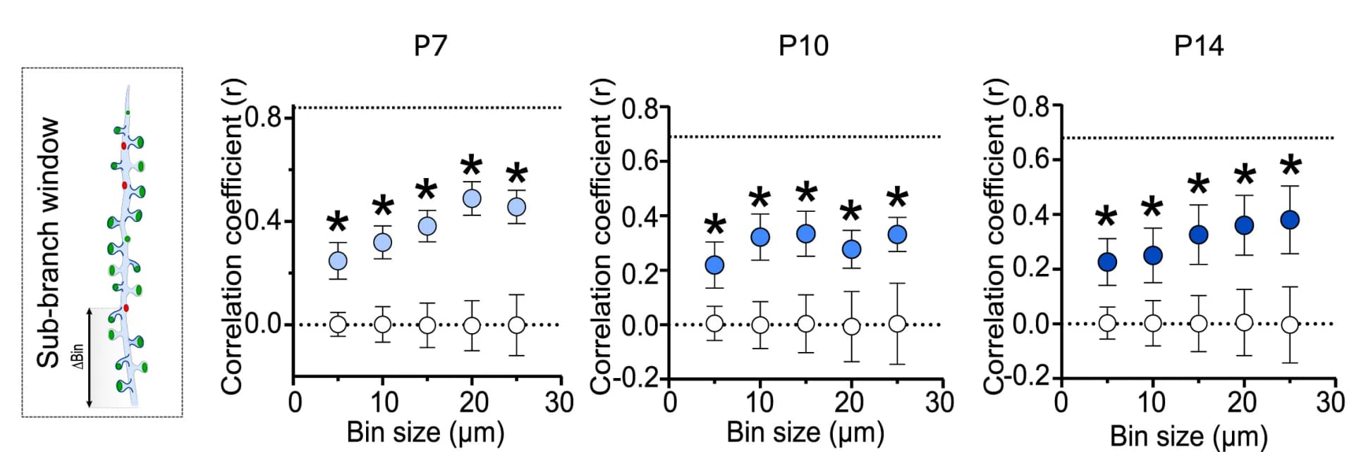 Open access visualization of Line Plot, Error Bars, Excitation, Inhibition, Sub-branch Windows