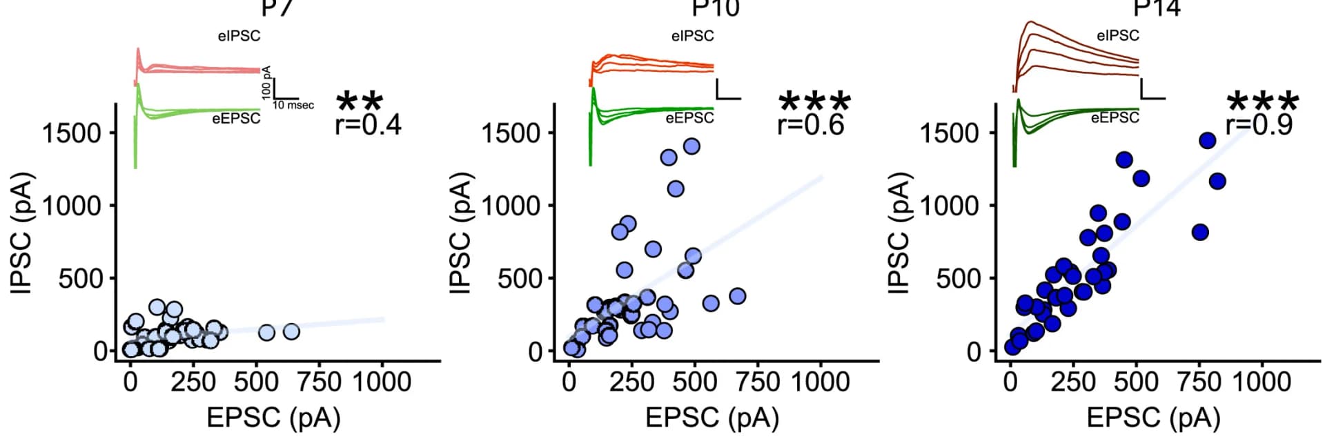 Open access visualization of Scatter Plot, Line Plot, EPSC, IPSC, Excitatory Current