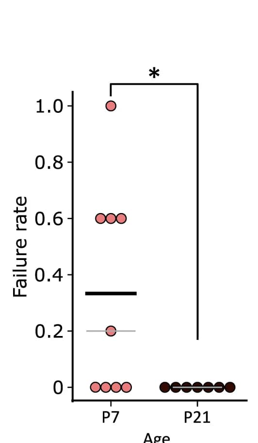 Open access visualization of Scatter Plot, Failure Rate, Evoked IPSCs