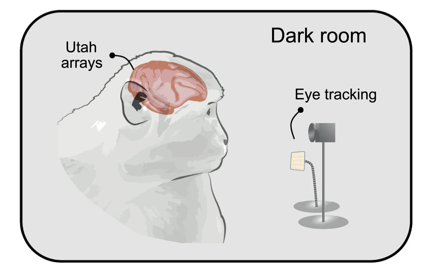 Open access visualization of Illustration, Experimental Setup