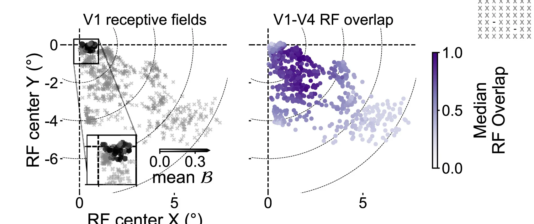 Open access visualization of Scatter Plot, Bubble Plot, Receptive Field Map, V1, Electrodes