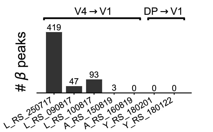 Open access visualization of Bar Plot, Electrode Pairs, Top-Down Signals, Session