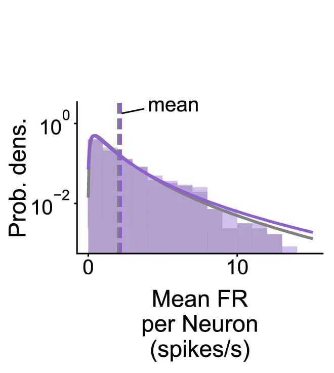 Open access visualization of Histogram, Line Plot, Density Plot, Mean Firing Rate, Neuron