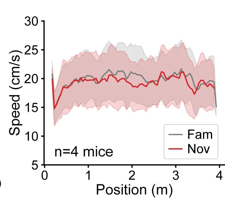 Open access visualization of Line Plot, Error Bars, Running Speed, Linear Track Position, SEM