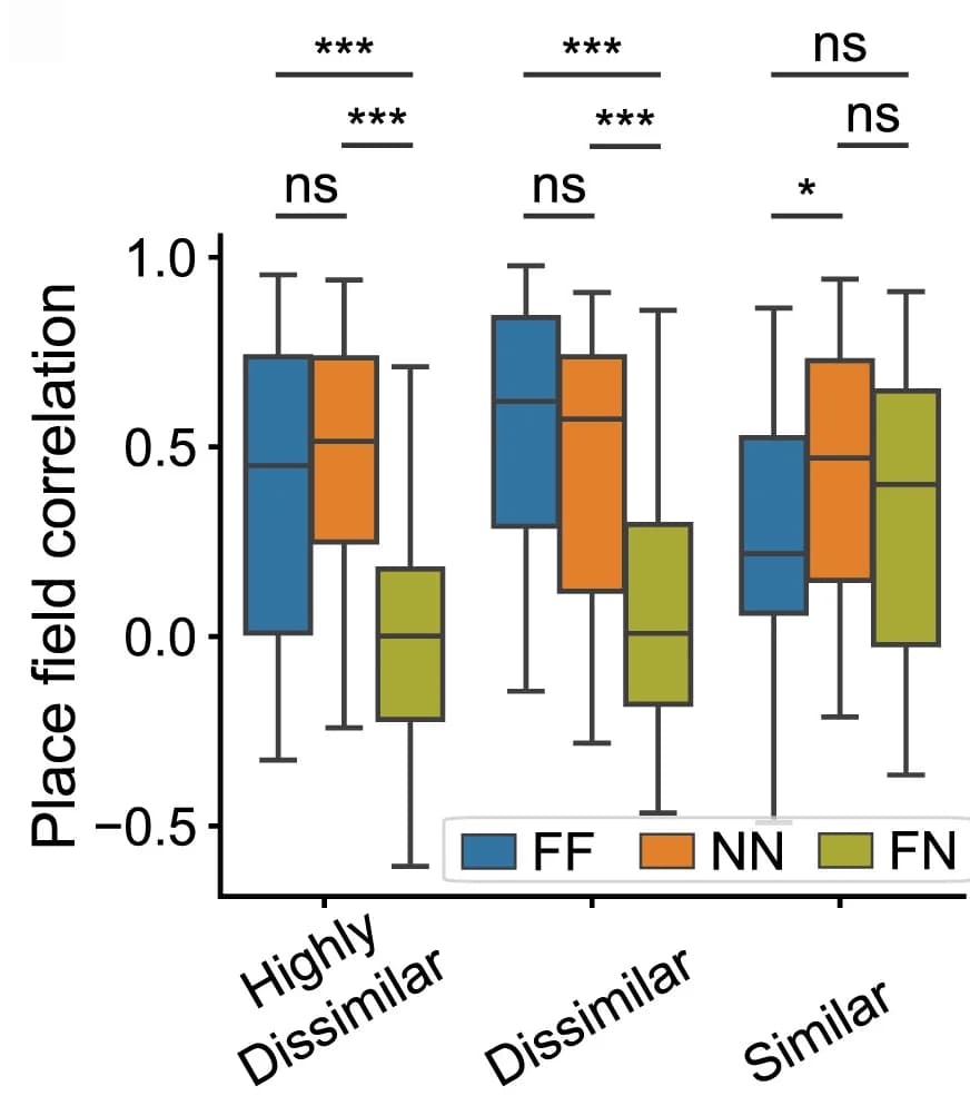 Open access visualization of Box Plot, Place Field, Spatial Tuning, Trials, Mice