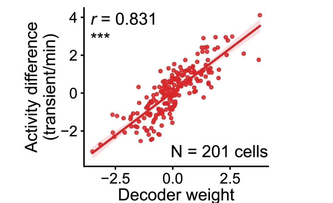 Open access visualization of Scatter Plot, Regression Plot, Activity Difference Score, Decoder Weight, Active Cells