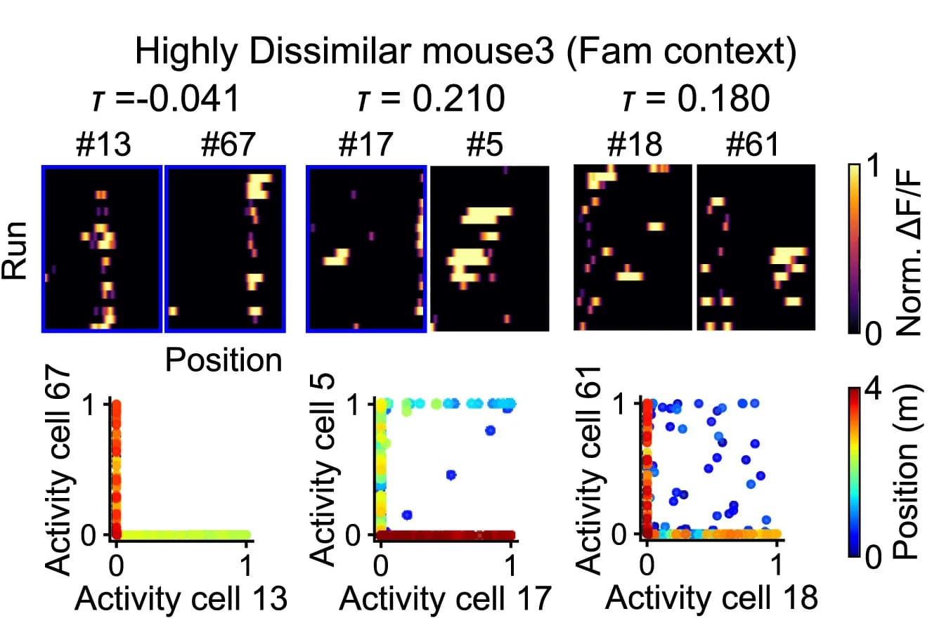 Open access visualization of Scatter Plot, Heatmap, Cell-Pair Activity, State Space, Spatial Information