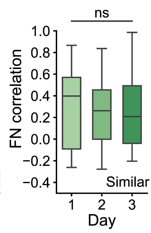 Open access visualization of Box Plot, Place Field, Correlation, Kruskal-Wallis Test, Statistical Analysis