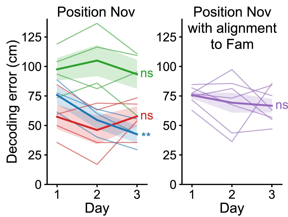 Open access visualization of Line Plot, Error Bars, Decoding Error, Spatial Position, Repeated Measures ANOVA