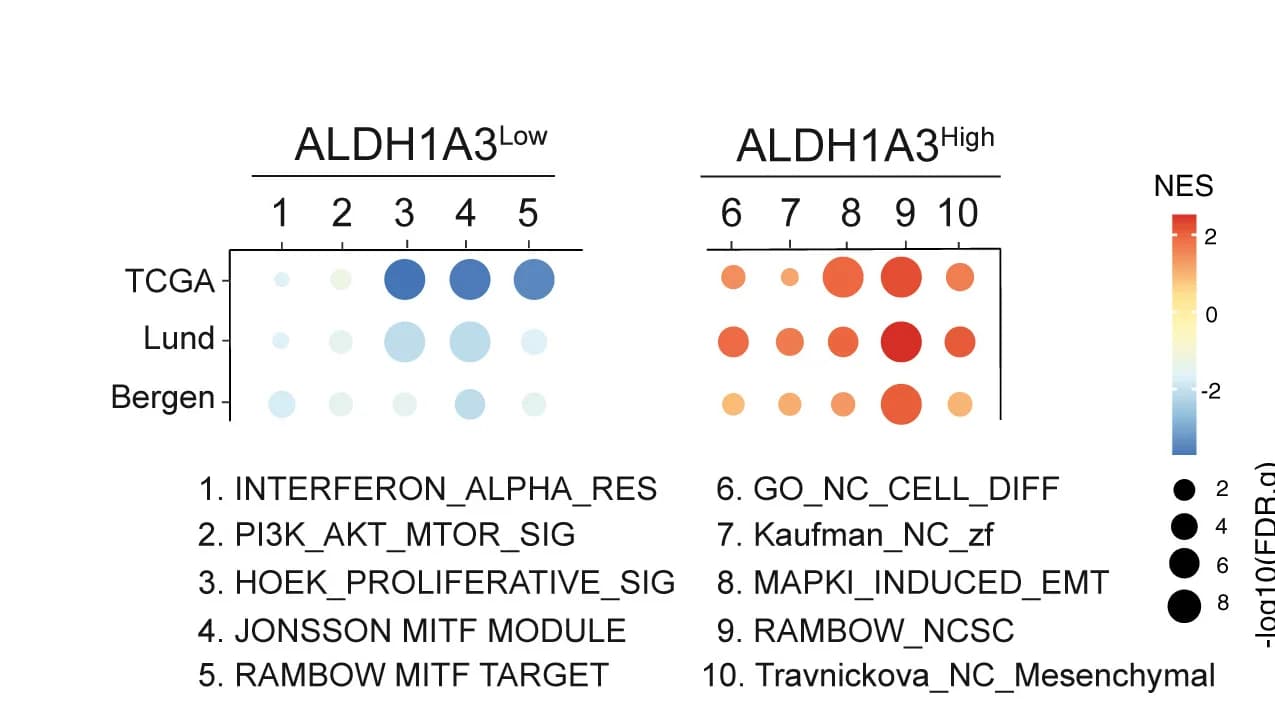 Open access visualization of Bubble Plot, Gene Set Enrichment Analysis, Melanoma Cells, Patient Samples, Pathway Analysis