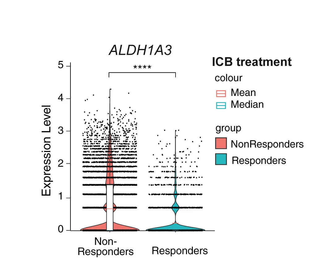 Open access visualization of Violin Plot, Scatter Plot, ALDH1A3, ICB Non-Responders, scRNA-seq