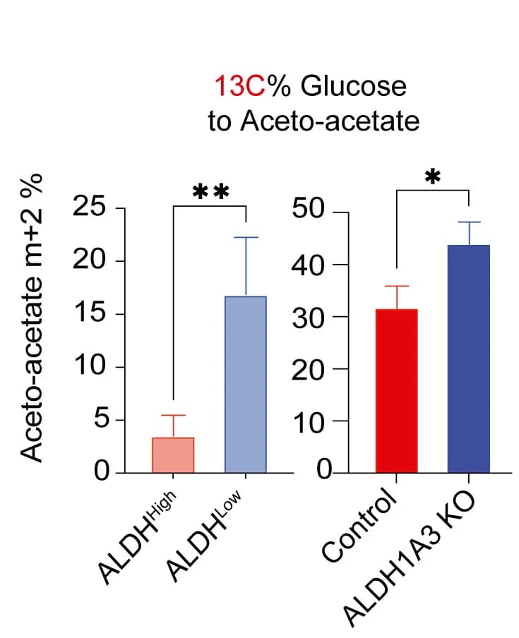 Open access visualization of Bar Plot, Error Bars, Glucose, Pyruvate, TCA Cycle Metabolites