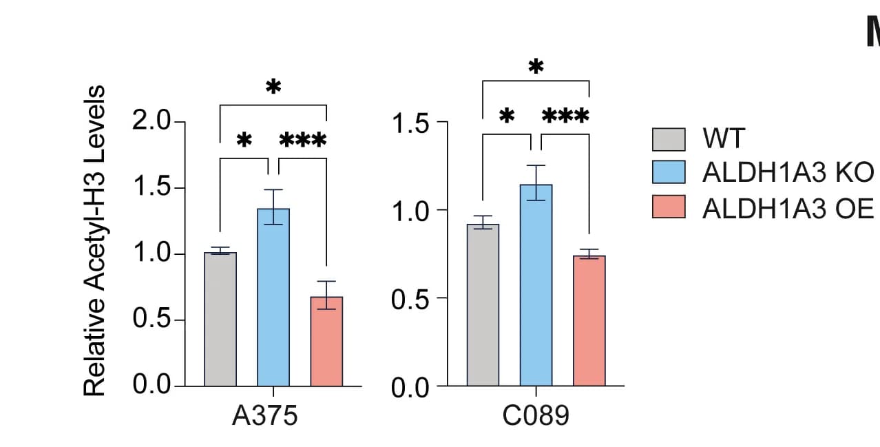 Open access visualization of Bar Plot, Error Bars, Clustered, Western Blot, Pan-Acetyl-Histone H3