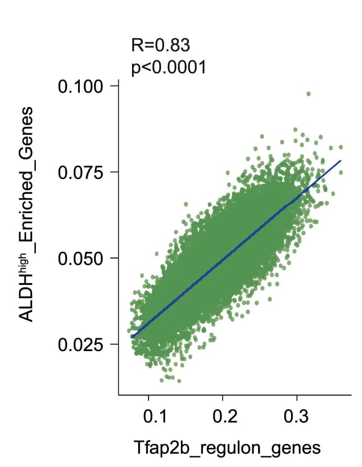 Open access visualization of Scatter Plot, Regression Plot, Scatterplot, ALDHHighenriched Gene Signature, Tfap2b Regulon