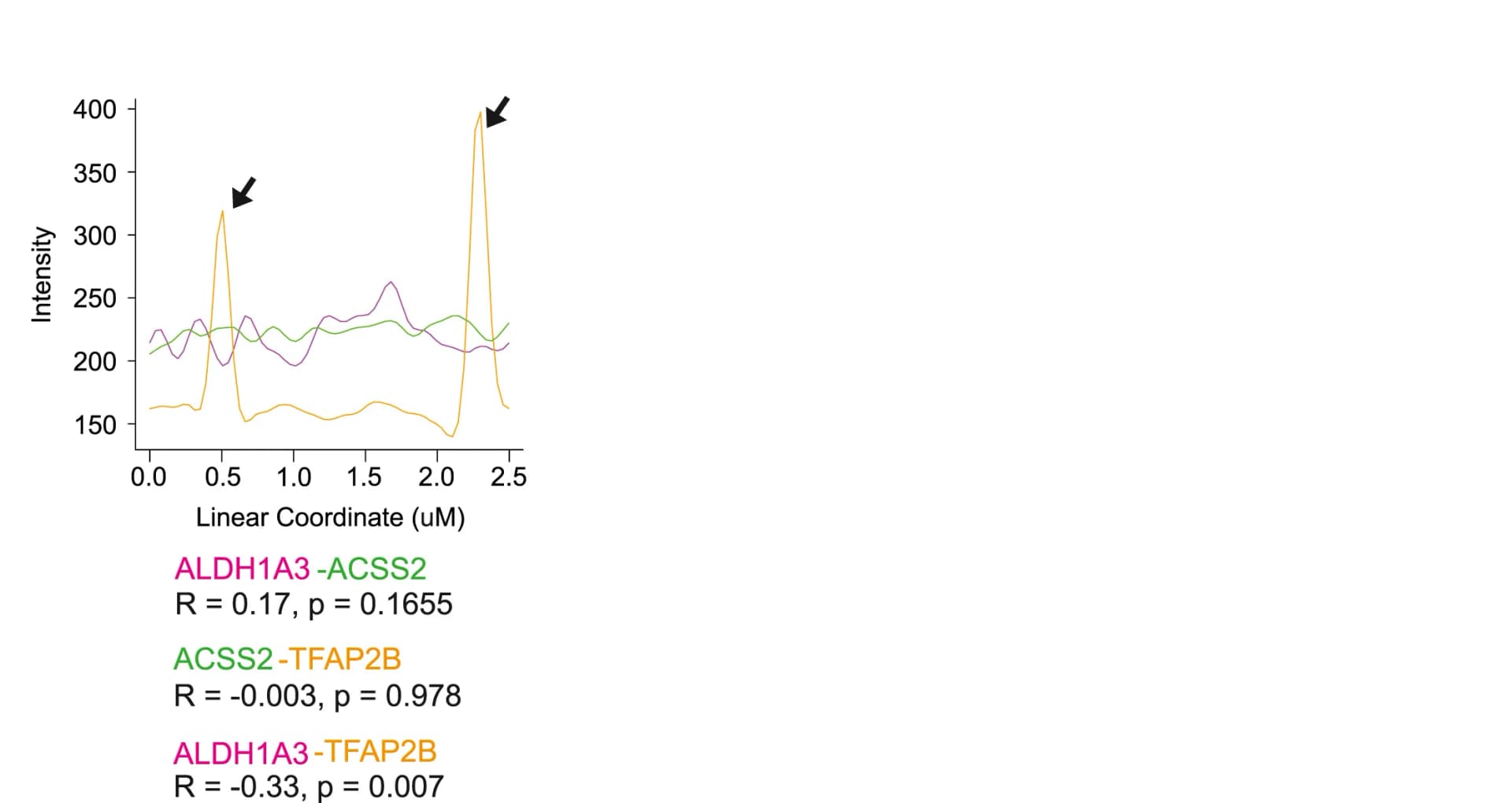 Open access visualization of Line Plot, Intensity Plot Profile, Line Scan, TFAP2B Signal Spots, Pearson Correlation Test