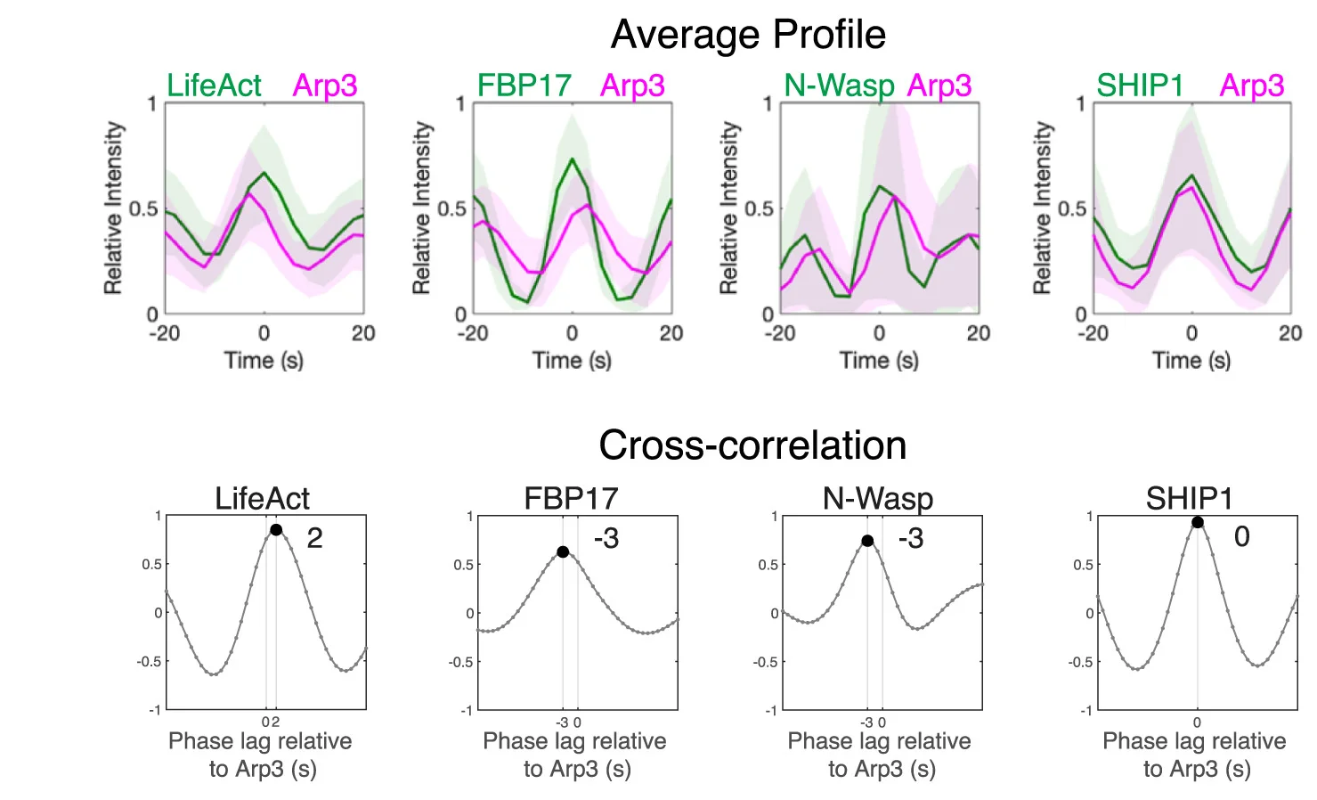 Open access visualization of Line Plot, Error Bars, Arp3, LifeAct, FBP17