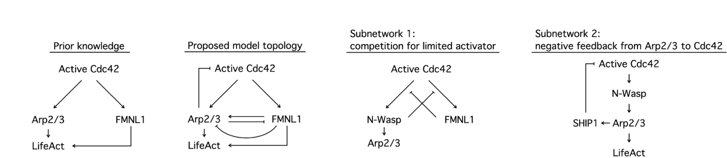 Open access visualization of Workflow, Flowchart, Model, Crosstalk, Feedback Mechanisms