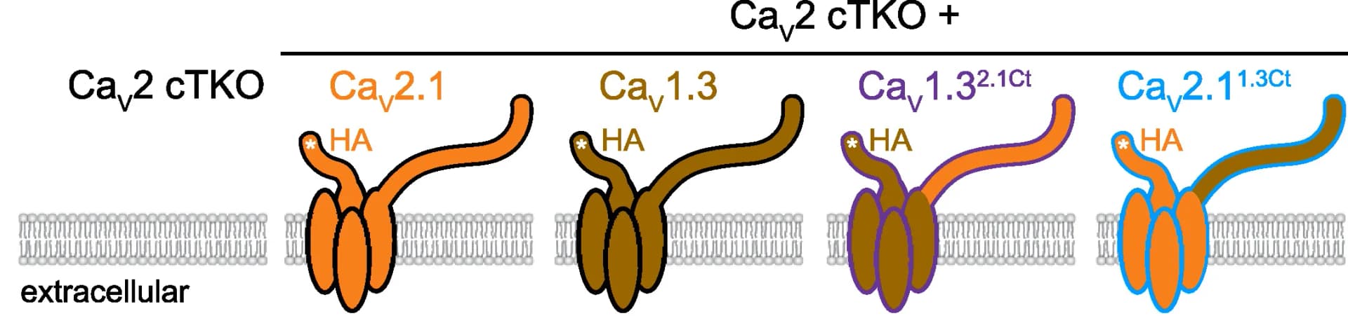 Open access visualization of Illustration, Conditions