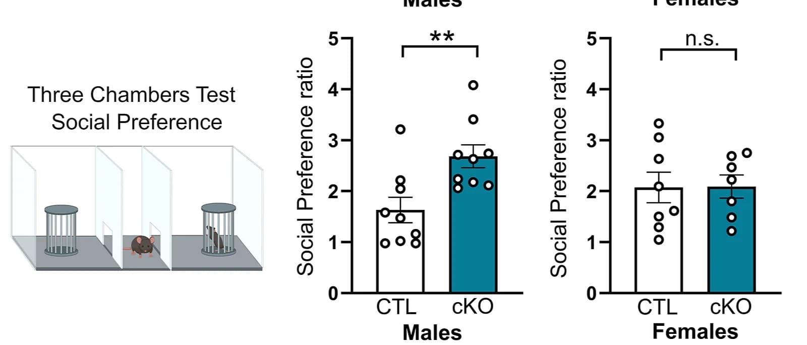 Open access visualization of Bar Plot, Error Bars, Scatter Plot, Social Preference, Three-Chamber Test