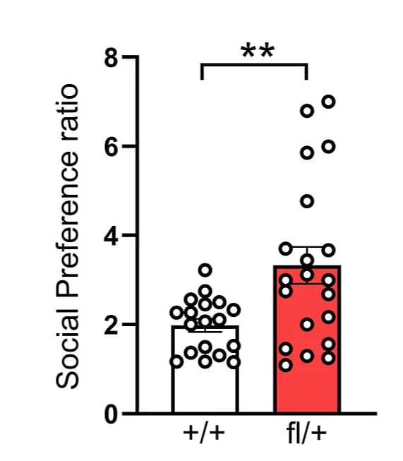 Open access visualization of Bar Plot, Scatter Plot, Error Bars, Social Preference, Three-Chamber Test