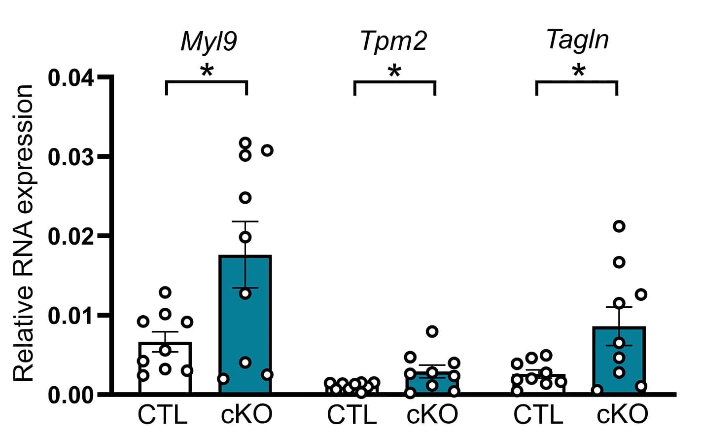Open access visualization of Bar Plot, Error Bars, Scatter Plot, qPCR, Upregulation