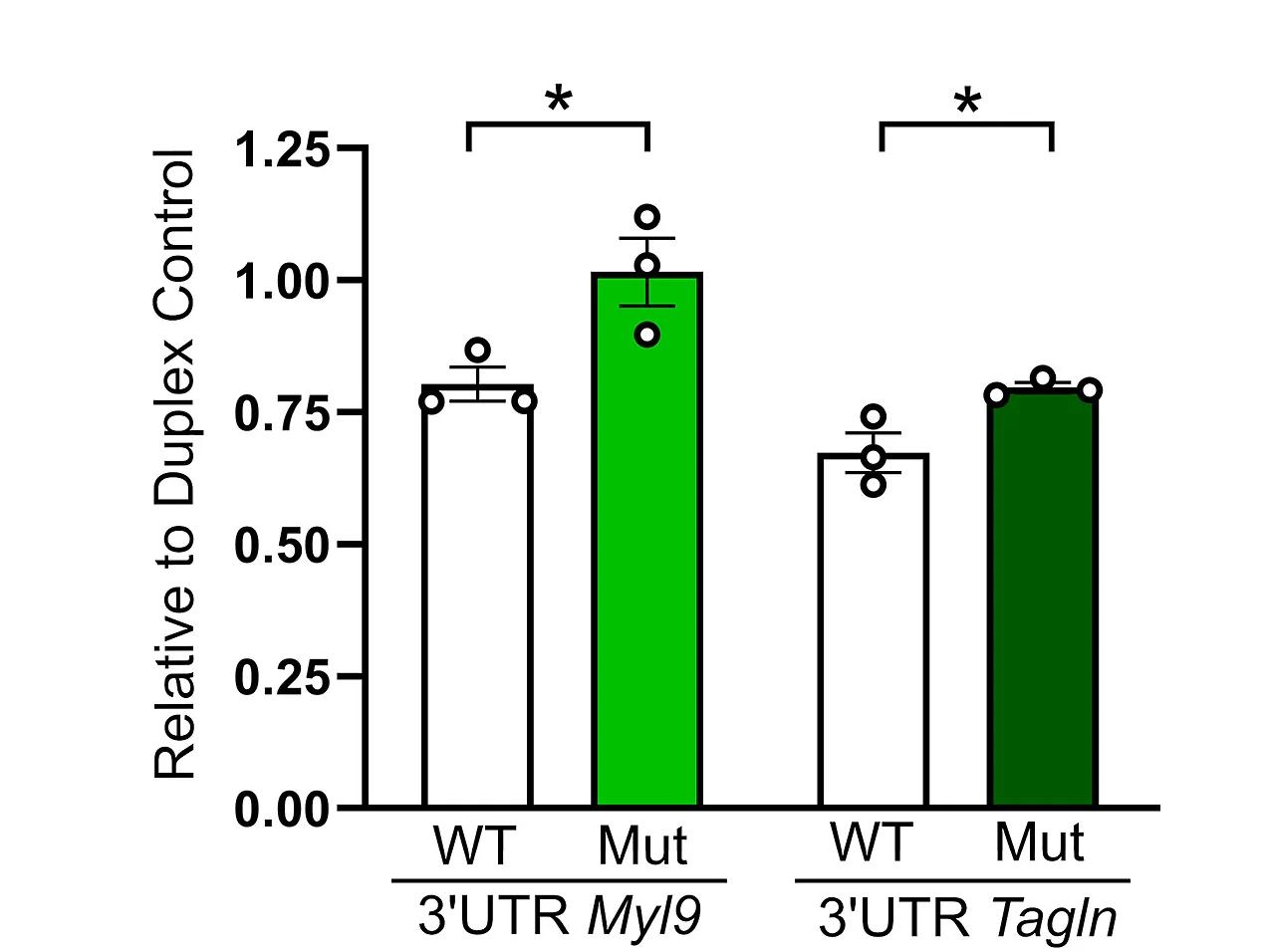 Open access visualization of Bar Plot, Error Bars, Luciferase Assay, Myl9, Tagln