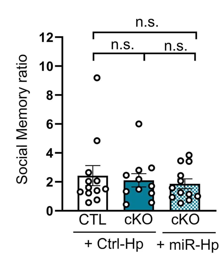 Open access visualization of Bar Plot, Error Bars, Scatter Plot, 3-miRNA signature, Excitatory Neurons